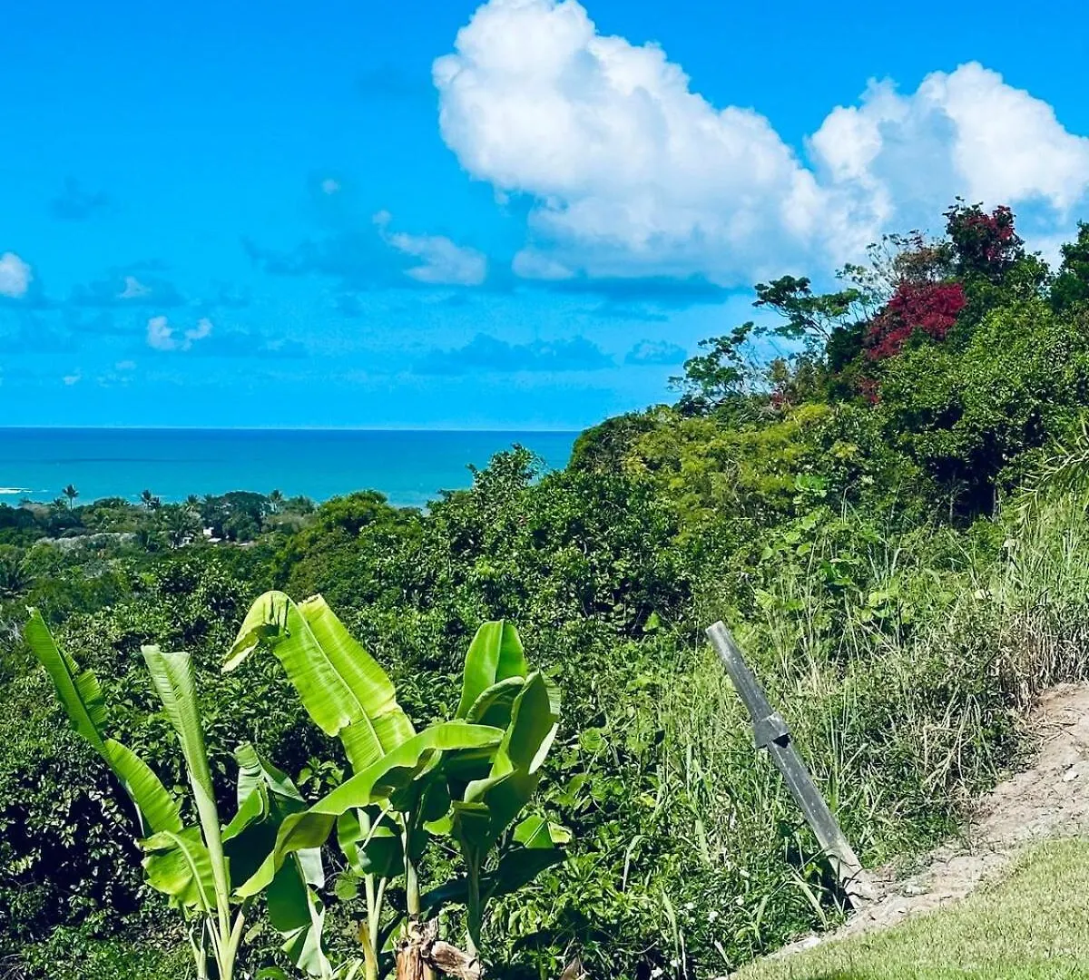 Charming Little Paradise Steps Away From The Beach Porto Seguro